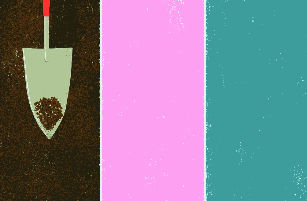 هنگام باغبانی ذهن آگاه باشیم